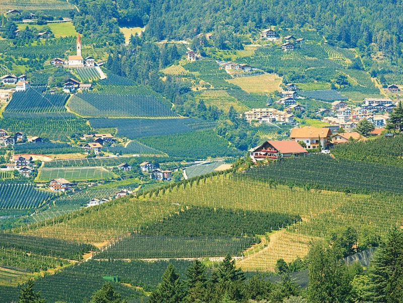 Pension Zum Burggraefler Schenna Exterior foto